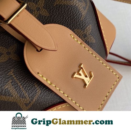 Louis Vuitton Neone - Image 5