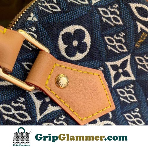 Louis Vuitton Speedy - Image 5