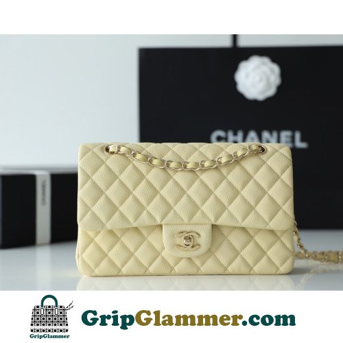 Chanel Flap Bag 25cm (Medium)