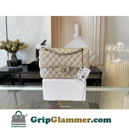 Chanel Flap Bag 25cm (Medium)