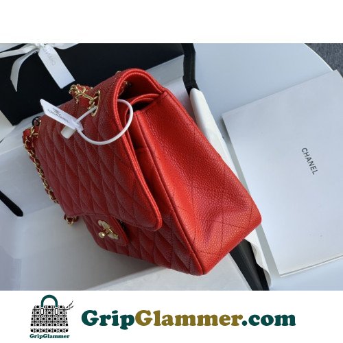 Chanel Flap Bag 25cm (Medium) - Image 5