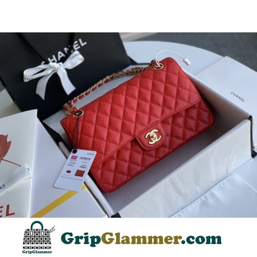 Chanel Flap Bag 25cm (Medium)