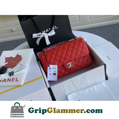 Chanel Flap Bag 25cm (Medium)