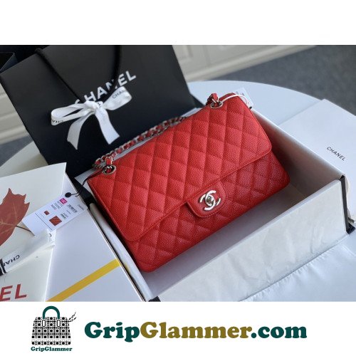 Chanel Flap Bag 25cm (Medium) - Image 7