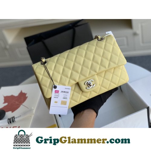 Chanel Flap Bag 25cm (Medium)