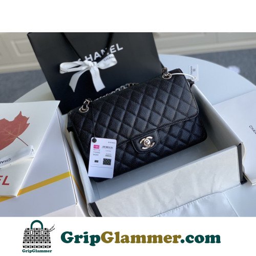 Chanel Flap Bag 25cm (Medium)