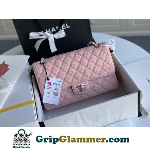 Chanel Flap Bag 25cm (Medium)