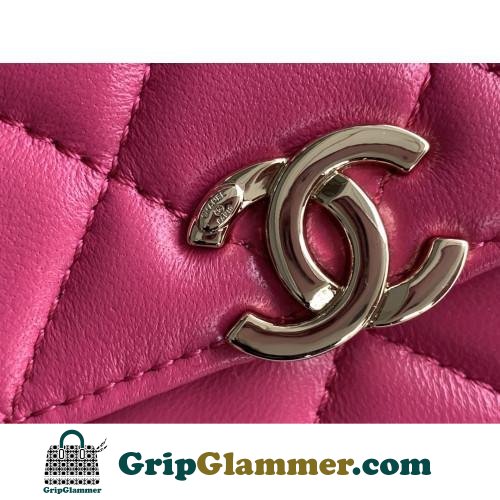 Chanel WOC - Image 3