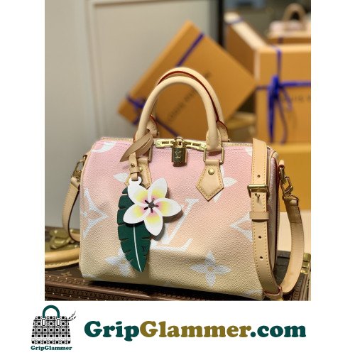 Louis Vuitton Speedy