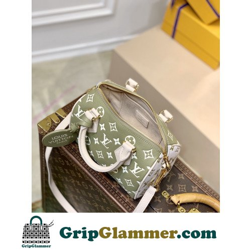 Louis Vuitton Speedy - Image 8