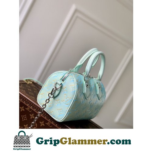 Louis Vuitton Speedy - Image 3