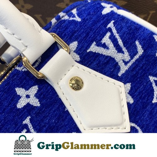 Louis Vuitton Speedy - Image 4