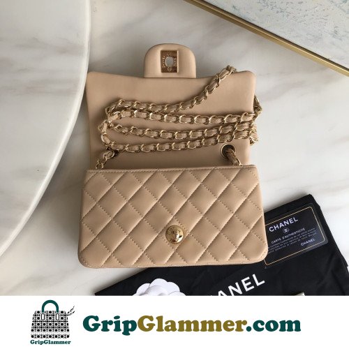 Chanel Flap Bag 20cm (Mini) - Image 5