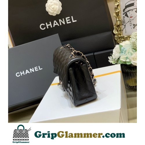 Chanel Flap Bag 20cm (Mini) - Image 2
