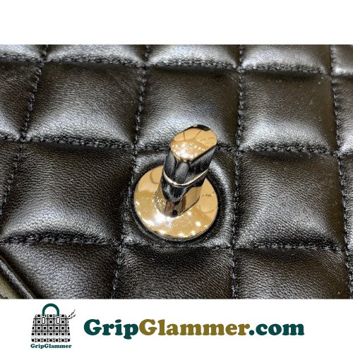 Chanel Flap Bag 20cm (Mini) - Image 5