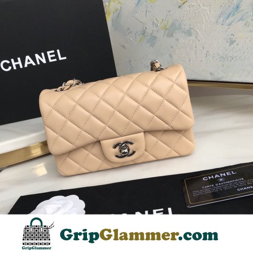 Chanel Flap Bag 20cm (Mini)