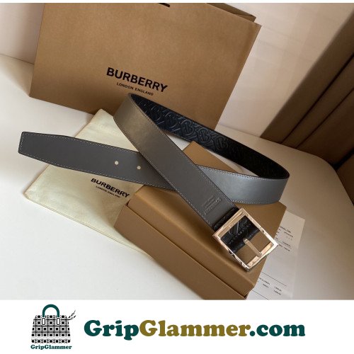 Burberry Belt - Image 2