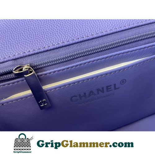 Chanel Flap Bag 20cm (Mini) - Image 2