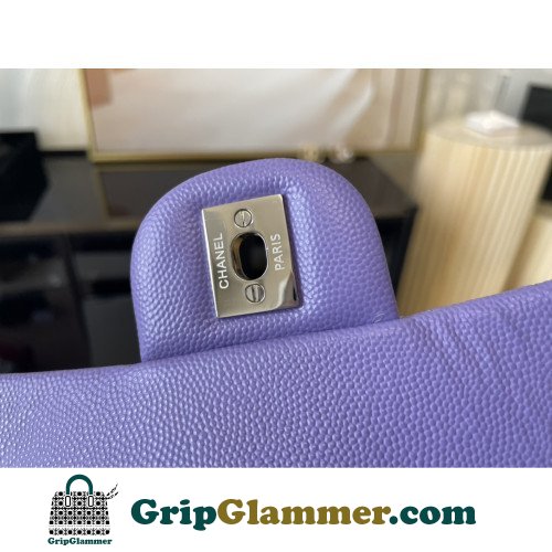 Chanel Flap Bag 20cm (Mini) - Image 7