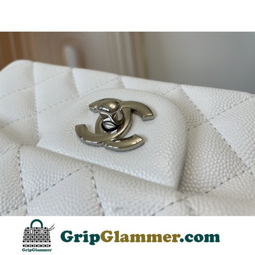 Chanel Flap Bag 20cm (Mini) - Image 5