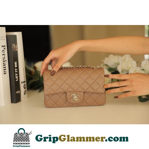 Chanel Flap Bag 20cm (Mini)