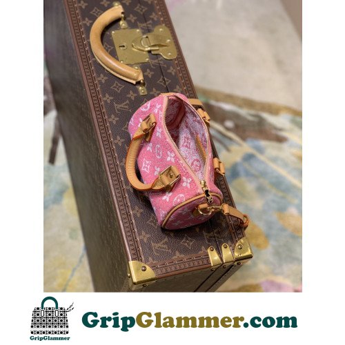 Louis Vuitton Speedy - Image 6