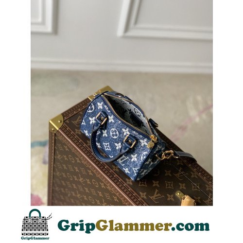 Louis Vuitton Speedy - Image 6