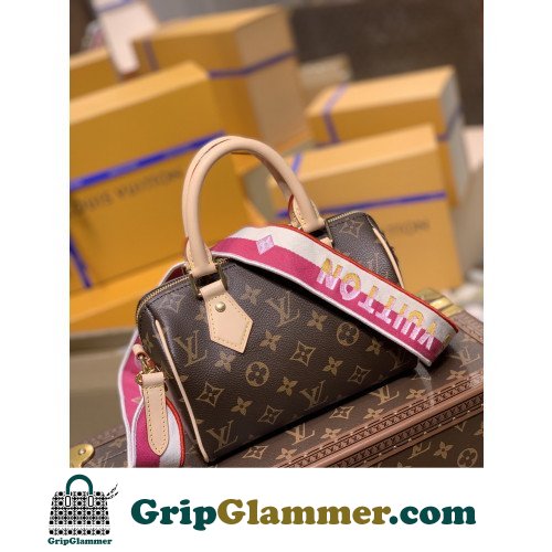 Louis Vuitton Speedy