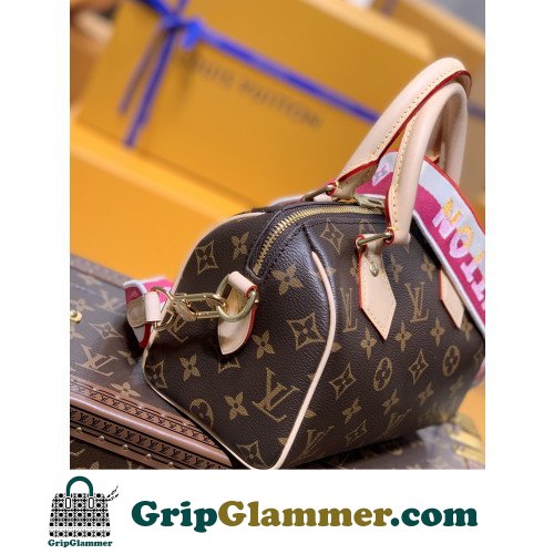 Louis Vuitton Speedy - Image 2