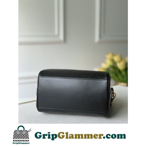 Louis Vuitton Speedy - Image 3