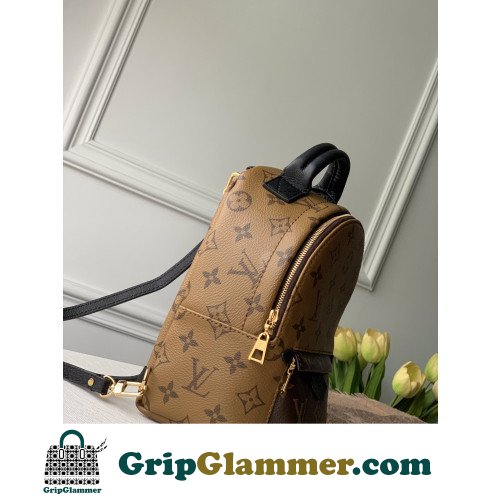 Louis Vuitton Backpack