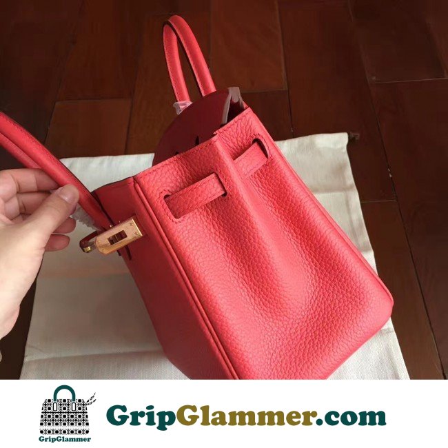 Hermes Bougainvillier Clemence Birkin 25cm Lushentic AAAAA Grade Replica - Image 2