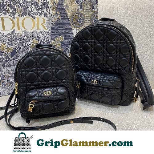 Dior Backpack