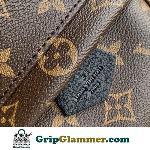 Louis Vuitton Backpack - Image 4