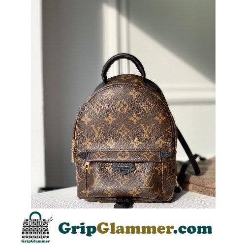 Louis Vuitton Backpack