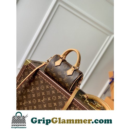 Louis Vuitton Speedy - Image 3