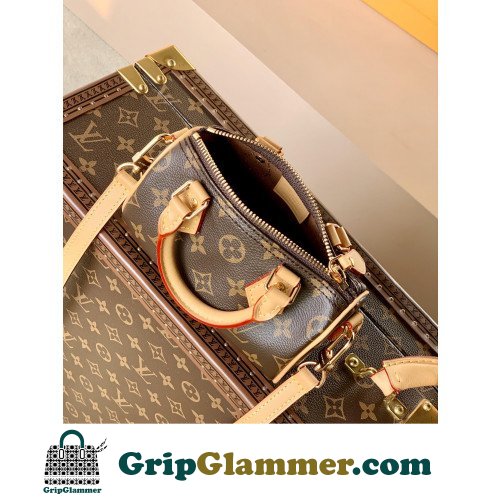 Louis Vuitton Speedy - Image 6