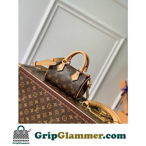 Louis Vuitton Speedy