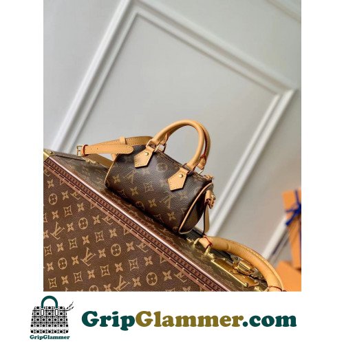 Louis Vuitton Speedy - Image 7