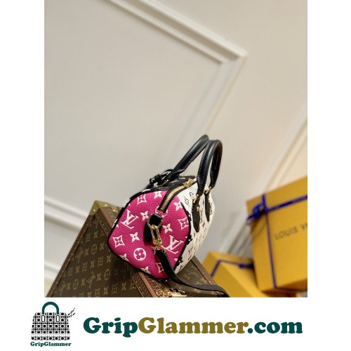 Louis Vuitton Speedy - Image 2