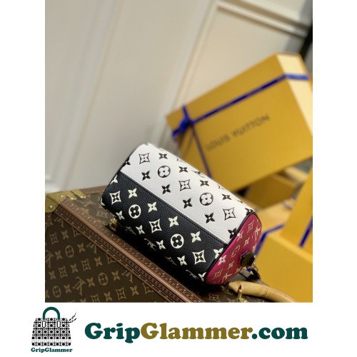 Louis Vuitton Speedy - Image 4