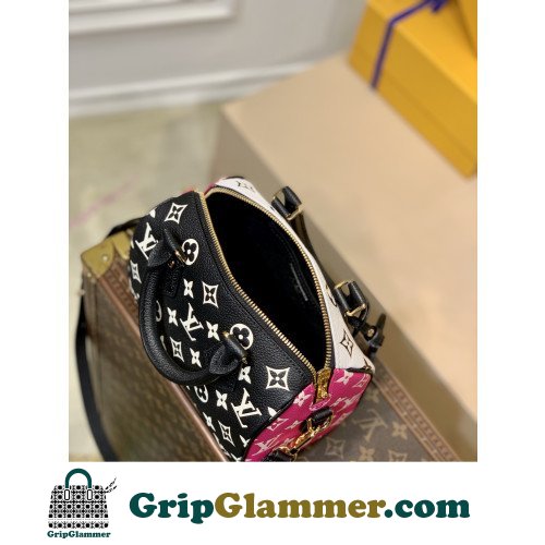 Louis Vuitton Speedy - Image 6