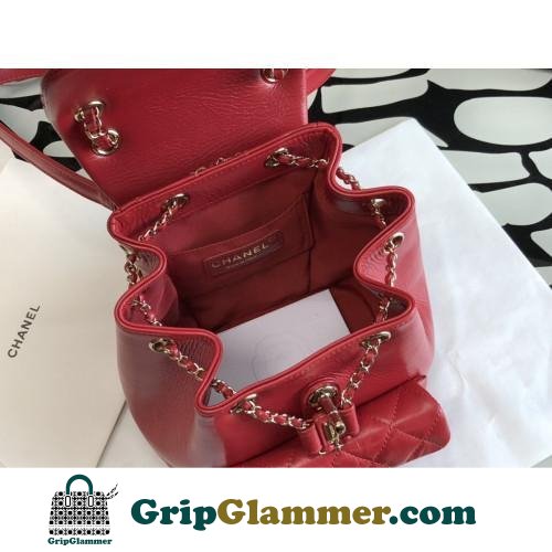 Chanel Backpack - Image 5