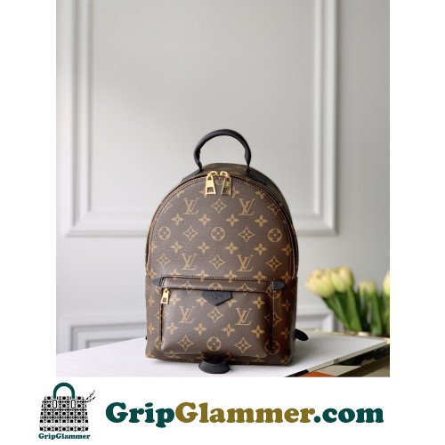 Louis Vuitton Backpack