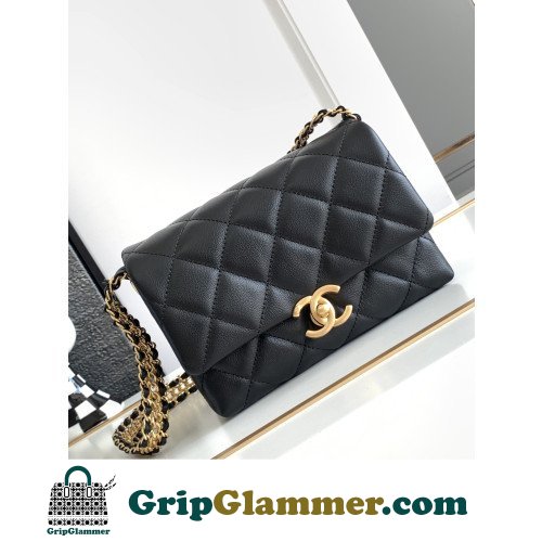 Chanel Flap Bag 20cm (Mini)