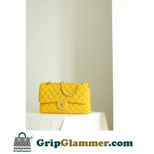 Chanel Flap Bag 25cm (Medium)