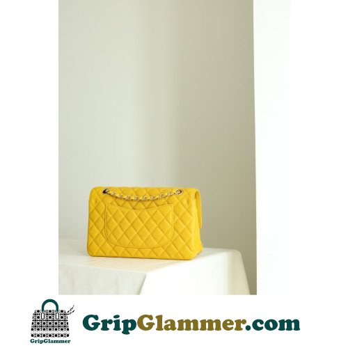 Chanel Flap Bag 25cm (Medium) - Image 3